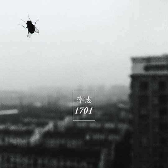 s27811205.jpg
